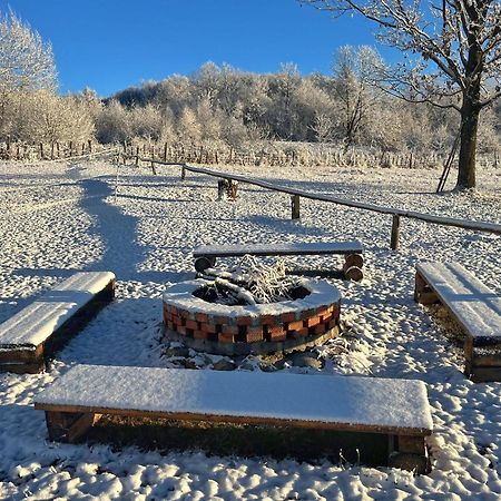 Novaci-StrăiniCasuta Din Stejari-Transalpina别墅 外观 照片